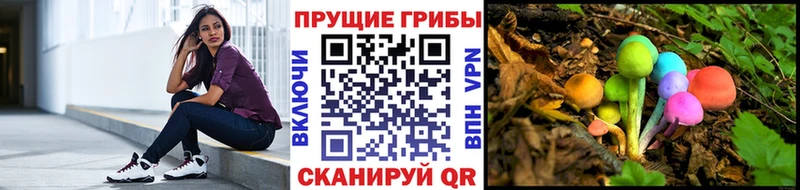 блэк спрут зеркало  Гулькевичи  Псилоцибиновые грибы ЛСД  наркотики 
